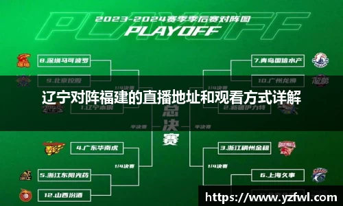 辽宁对阵福建的直播地址和观看方式详解
