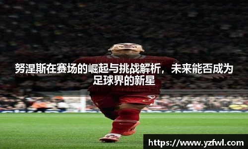 努涅斯在赛场的崛起与挑战解析，未来能否成为足球界的新星